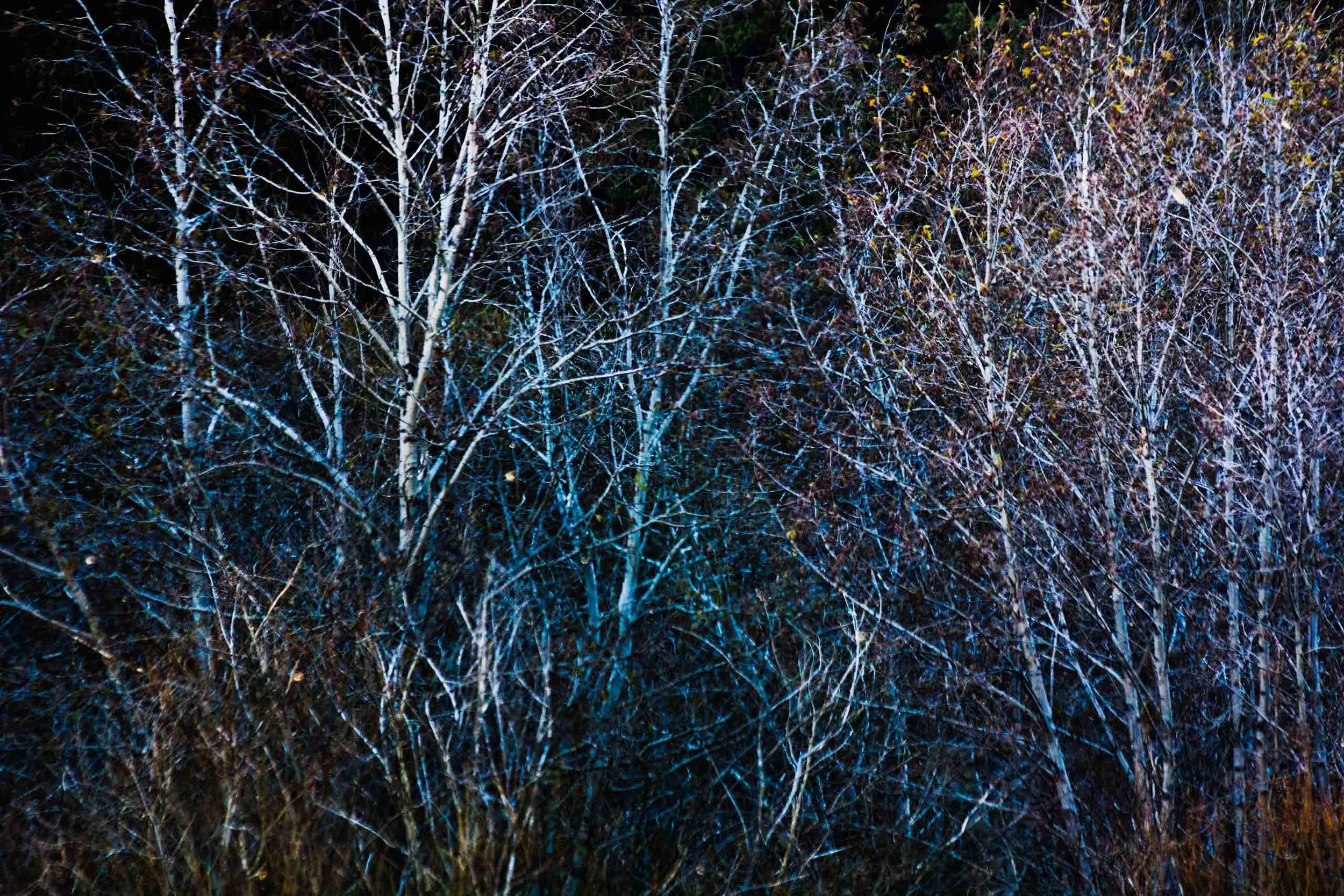 Mikeal-Beland-Studio-Montana-10 2.jpg