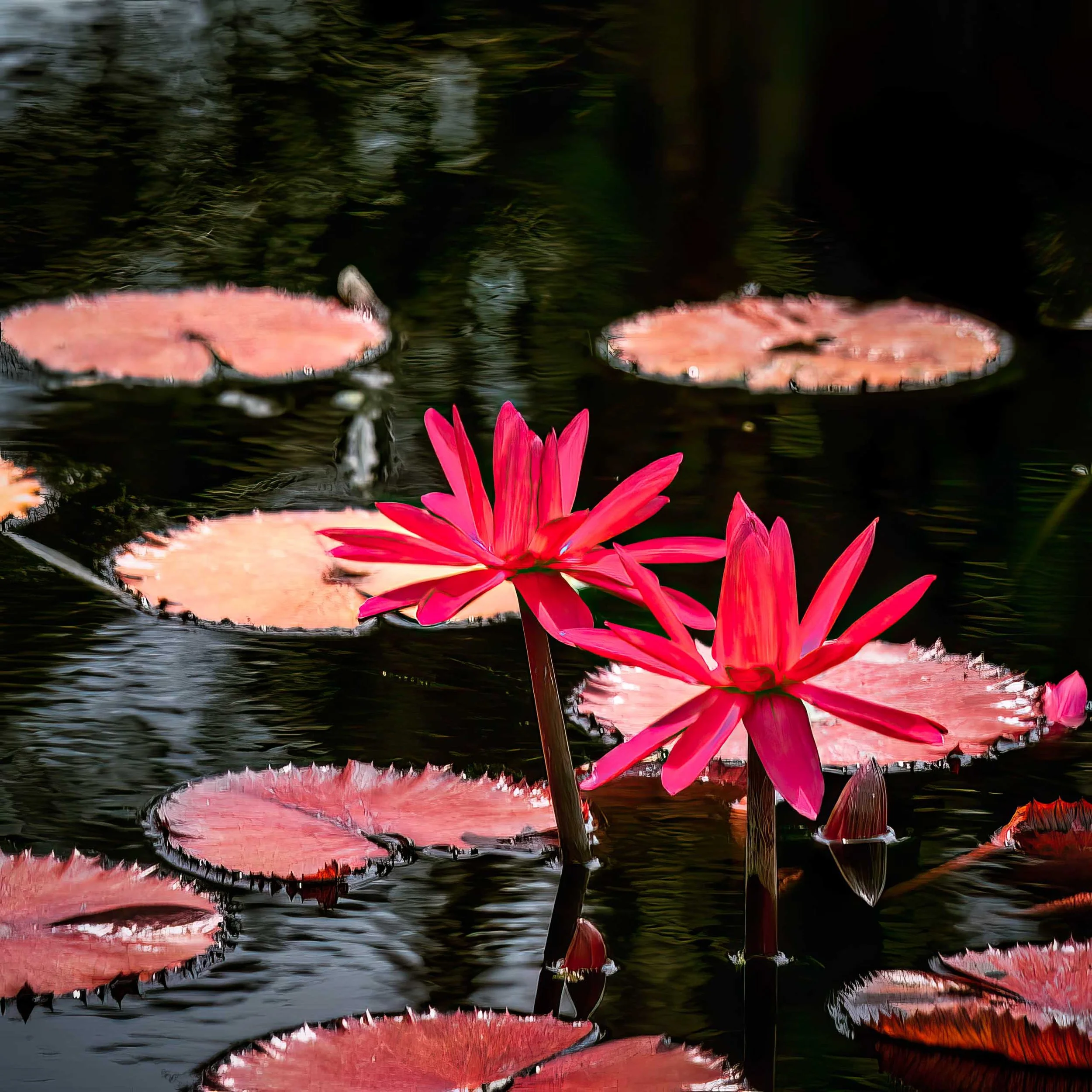 Mikeal-Beland-Studio-Florida-42.jpg