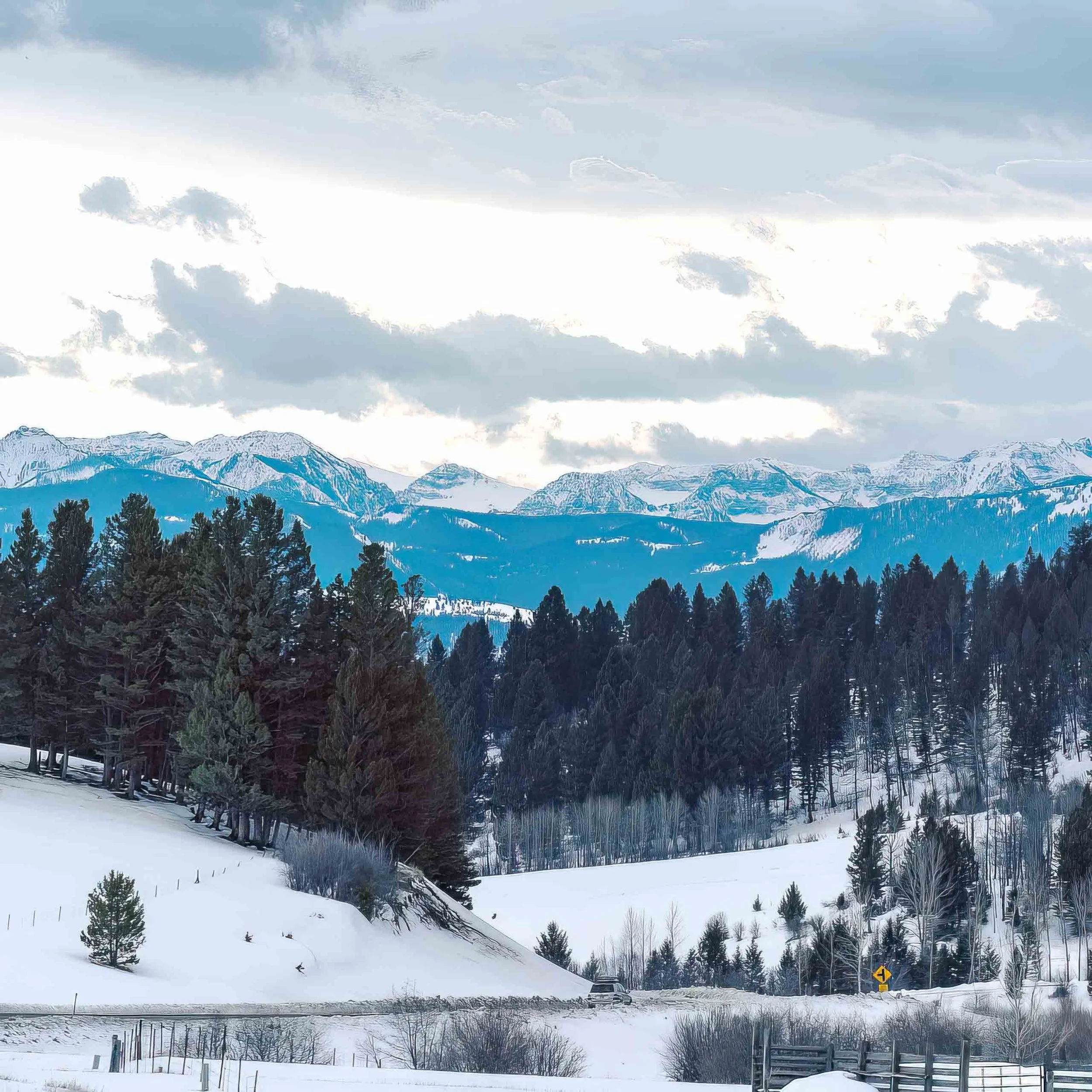 Mikeal-Beland-Studio-Montana-17.jpg