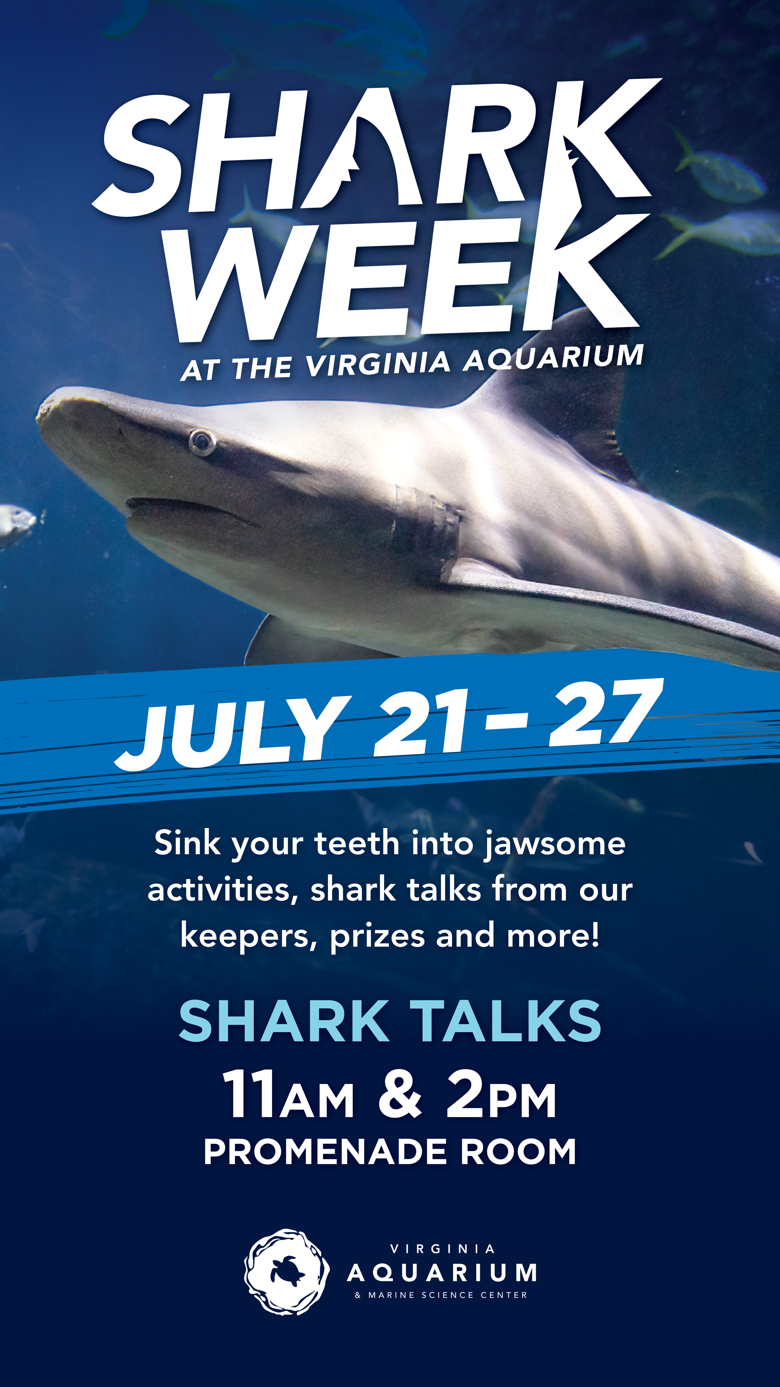 SharkWeek_DigitalSign.png