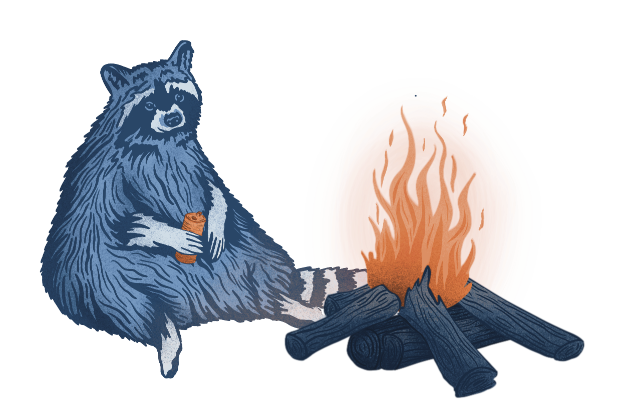RacoonCampfire2.png