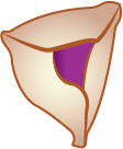 Pastiers grape 2.png