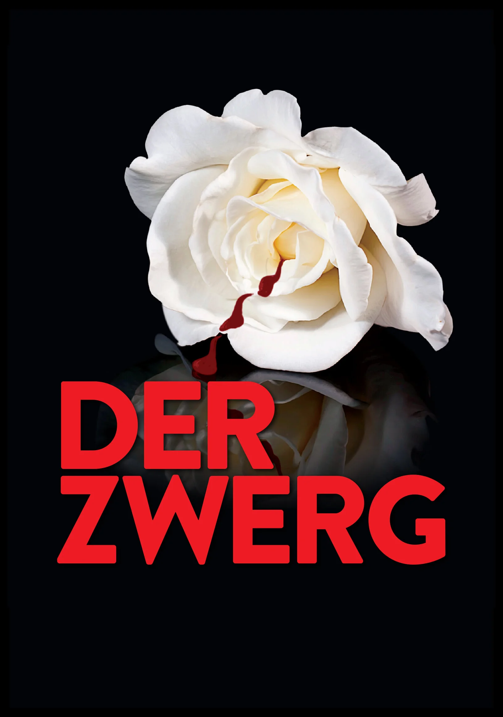 DerZwerg_KeyArt.jpg