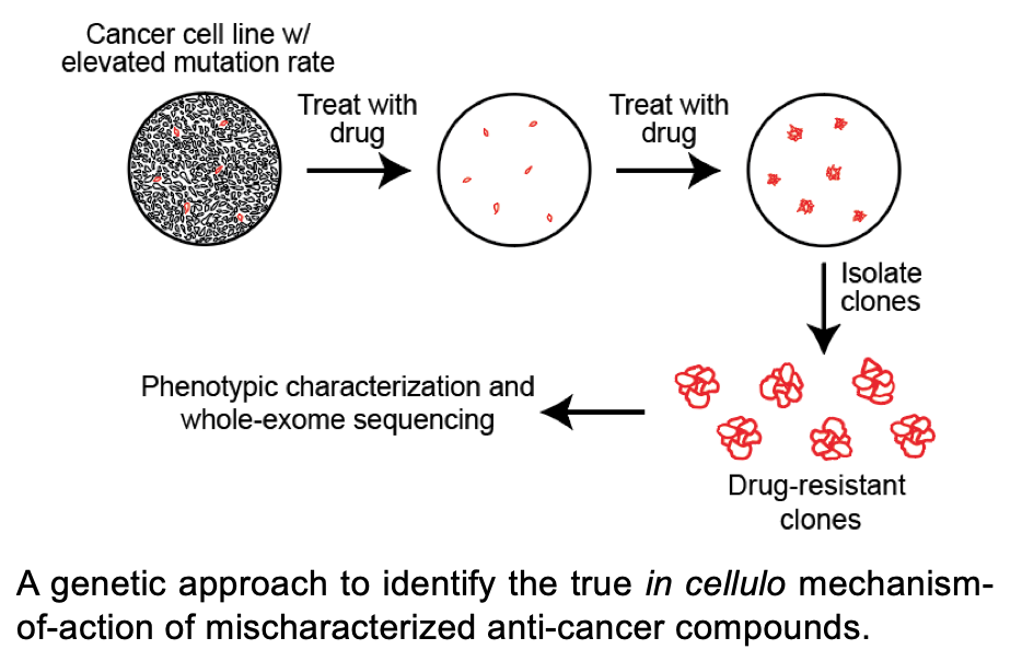 cancer dependencies - corrected.png