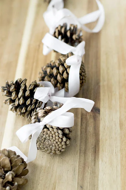 christmas-craft-ideas-pinecones.jpg