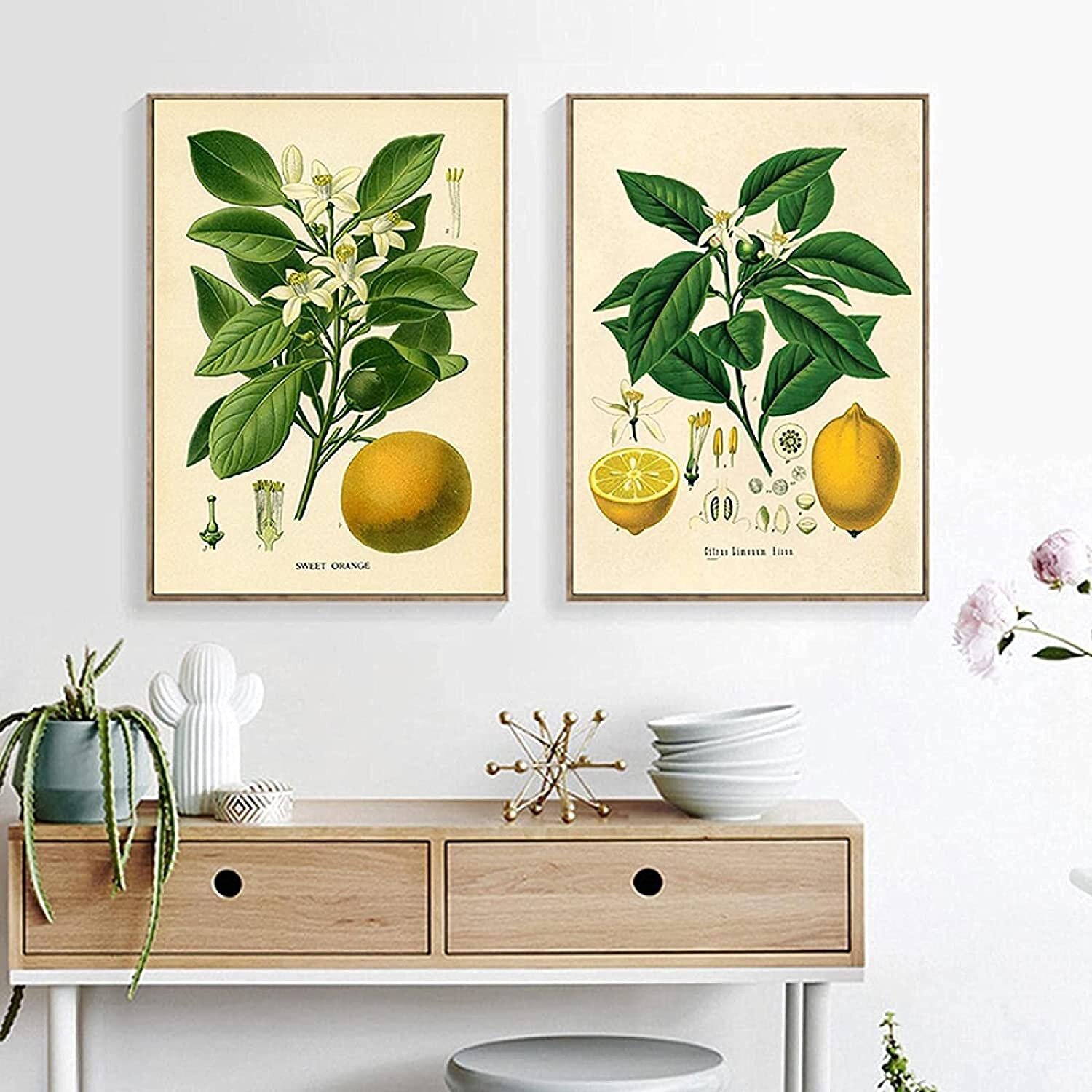 Posters And Prints Lemon Print Vintage Botanical Fruit Art