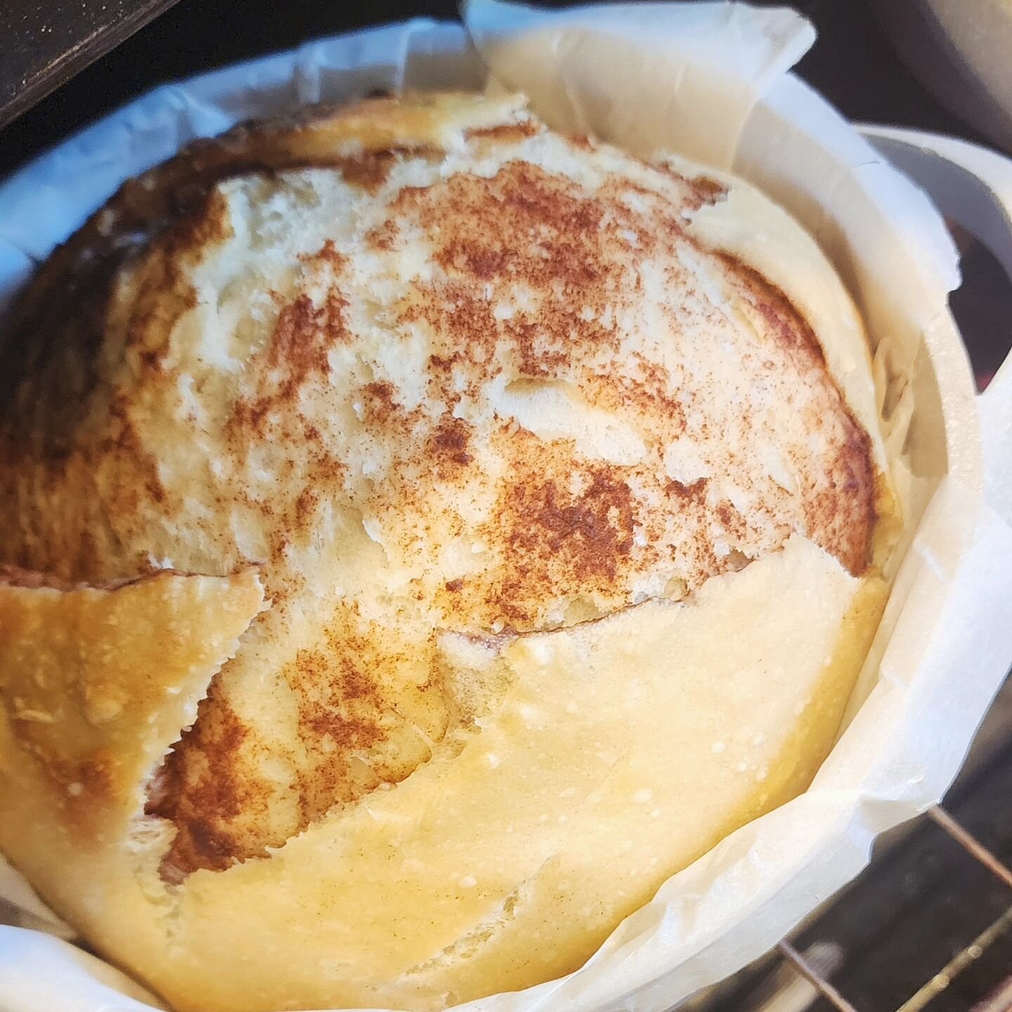 POV, you start a sourdough journey and pleasantly discover joy in baking again &amp; eating baked goods because they don't bother your stomach with sourdough and find your true calling is...
KEEPER OF THE WILD YEAST!
I have several heirloom sourdough