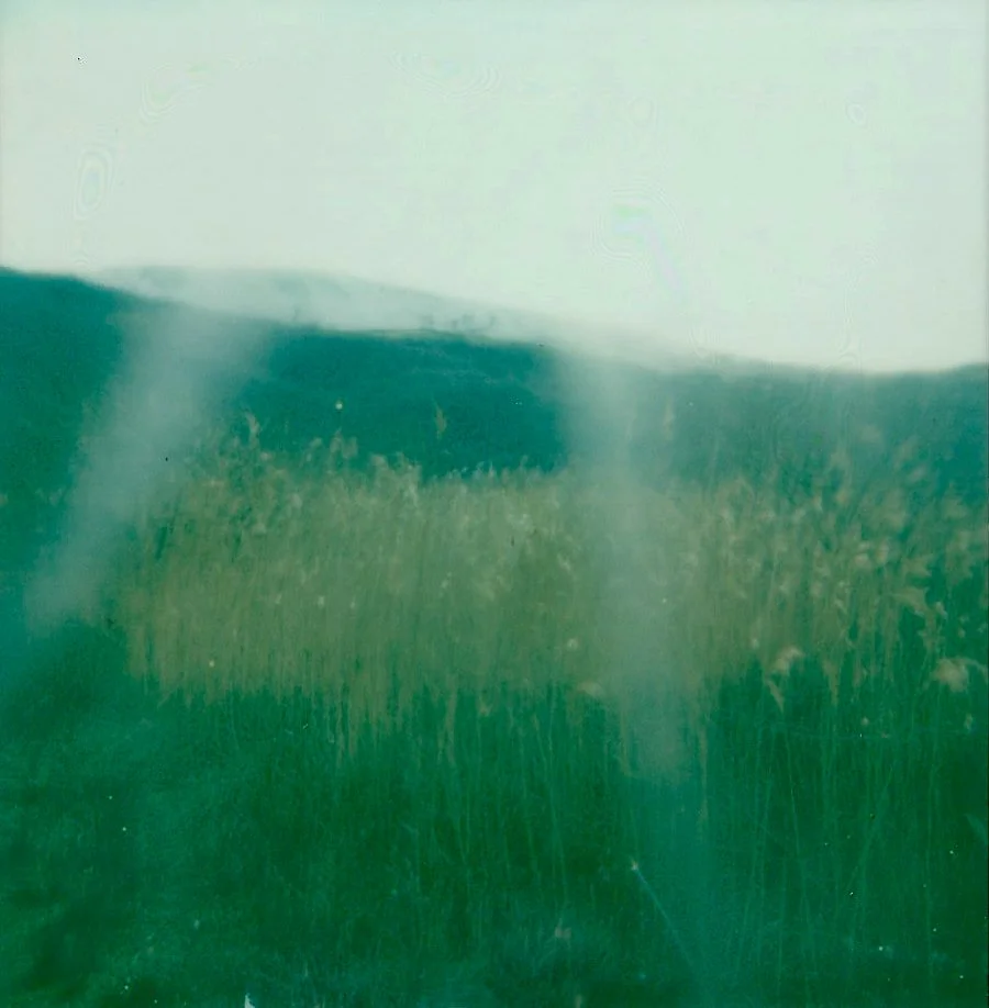 JS_polaroid view with cellophane photogram.jpeg