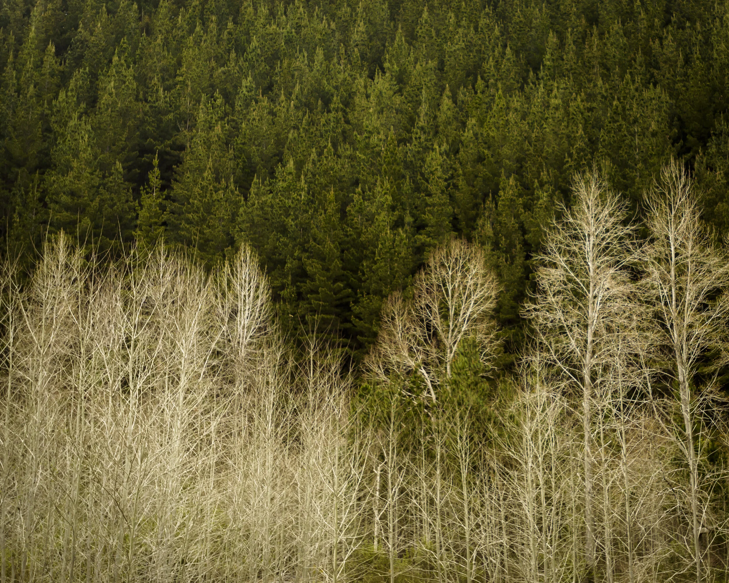 NZ_Holiday-116.jpg