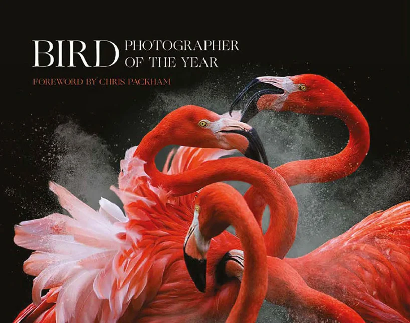 The Bird Photographer of the Year Shop — Bird Photographer of the Year