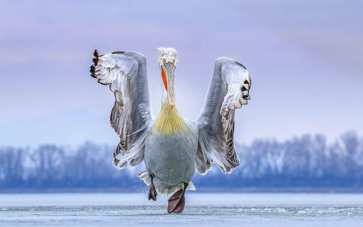 Dancing on Ice