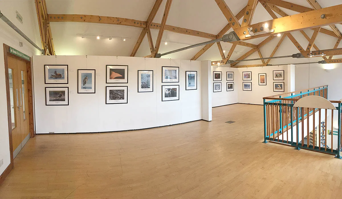 The exhibition on display at Barnes.