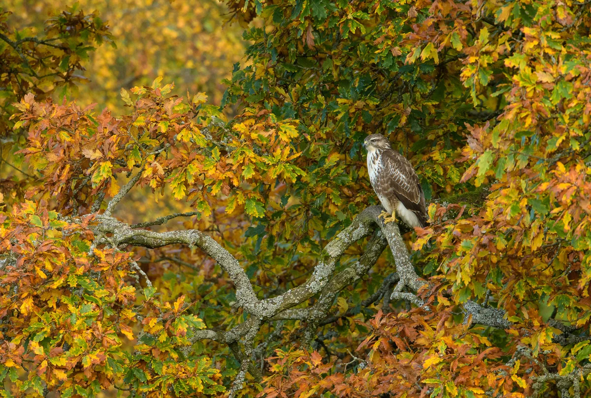 Keeping Watch