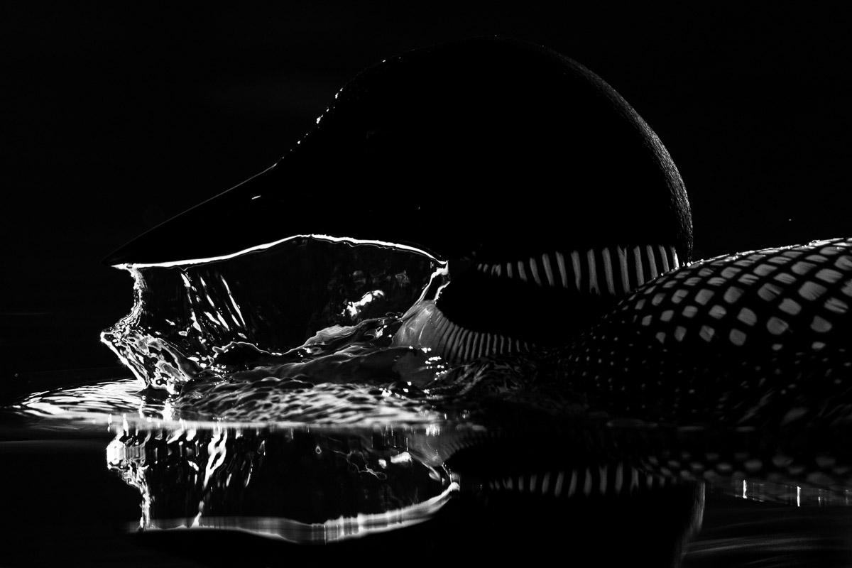 Splash of Dark