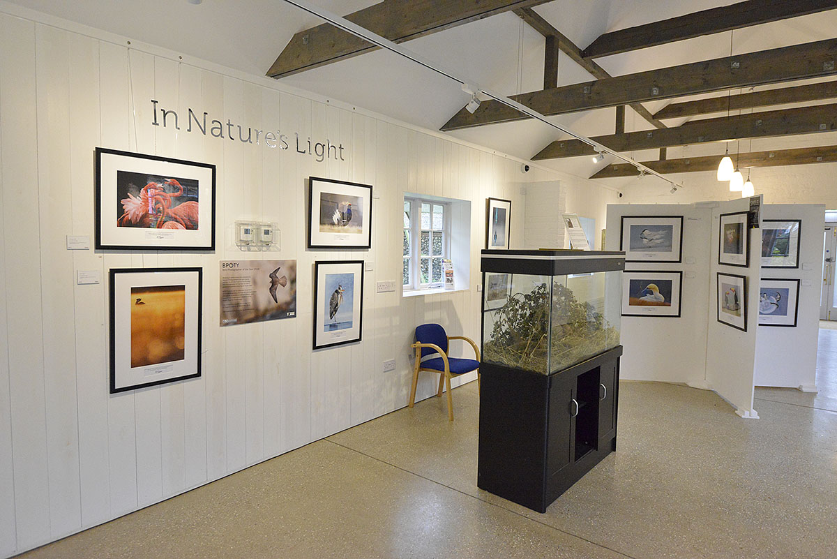 The Bird Photographer of the Year 2018 exhibition will be on display at Pensthorpe Bird and Wildlife Fair on 18th and 19th May.