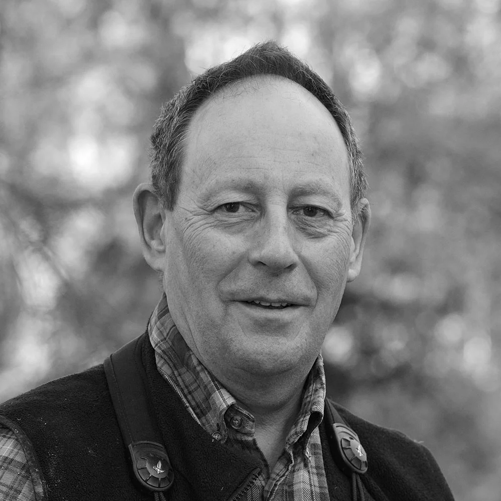 Paul Sterry