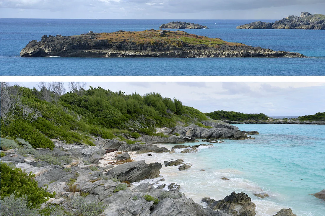 The last remaining breeding haunts of the Cahow: tiny Green Island (above), prone to tidal-surge inundation, and restored Nonsuch Island (below) the species’ new home. ©Paul Sterry/Nature Photographers Ltd