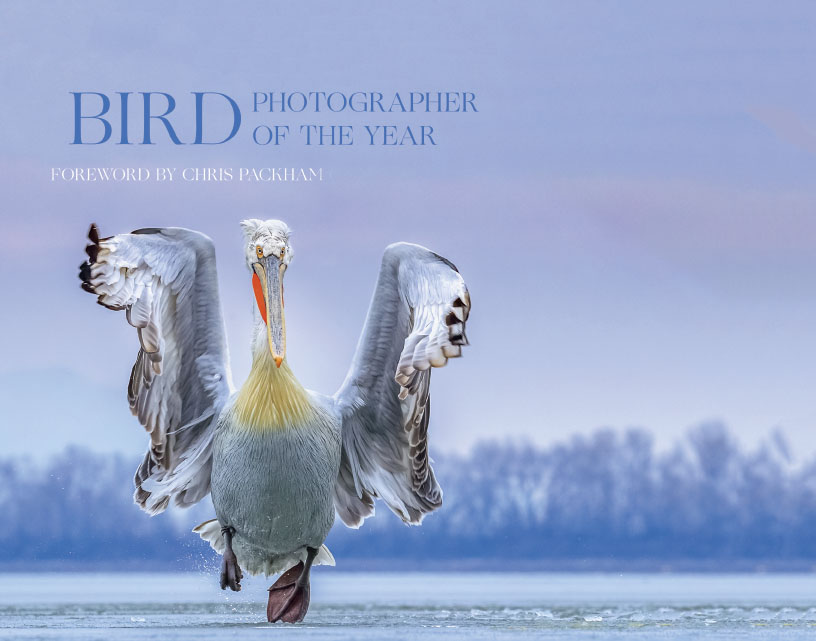 The Bird Photographer of the Year Shop — Bird Photographer of the Year