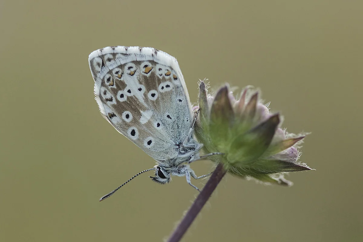 Victoria Hillman Photography Workshops