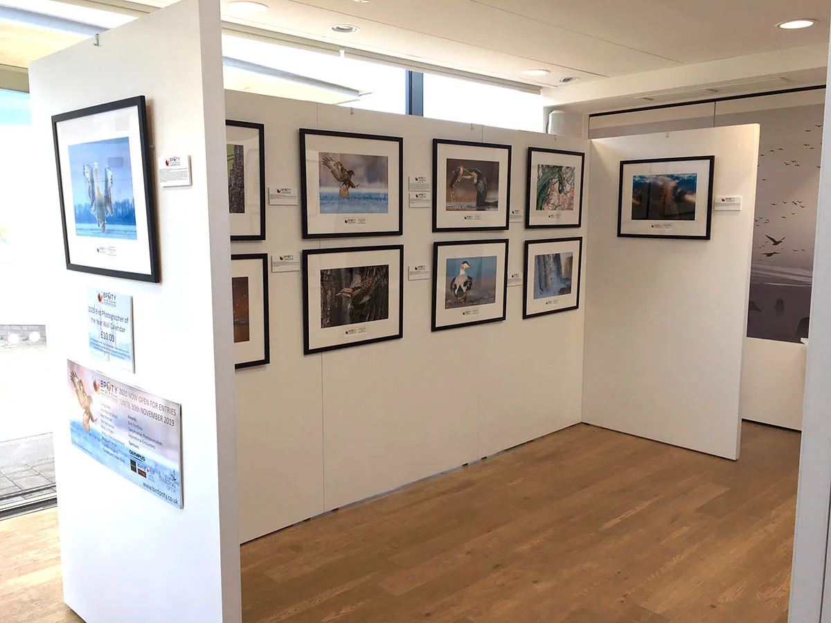 BPOTY exhibition at Cley Marshes