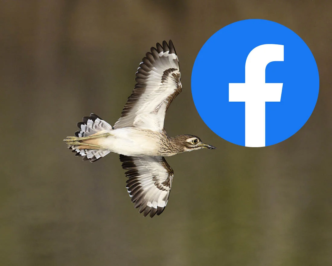 BPOTY Facebook Group