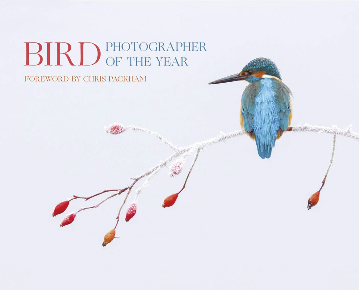 The Bird Photographer of the Year Shop — Bird Photographer of the Year