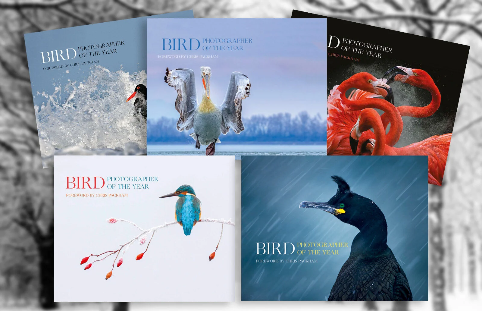 The Bird Photographer of the Year Shop — Bird Photographer of the Year