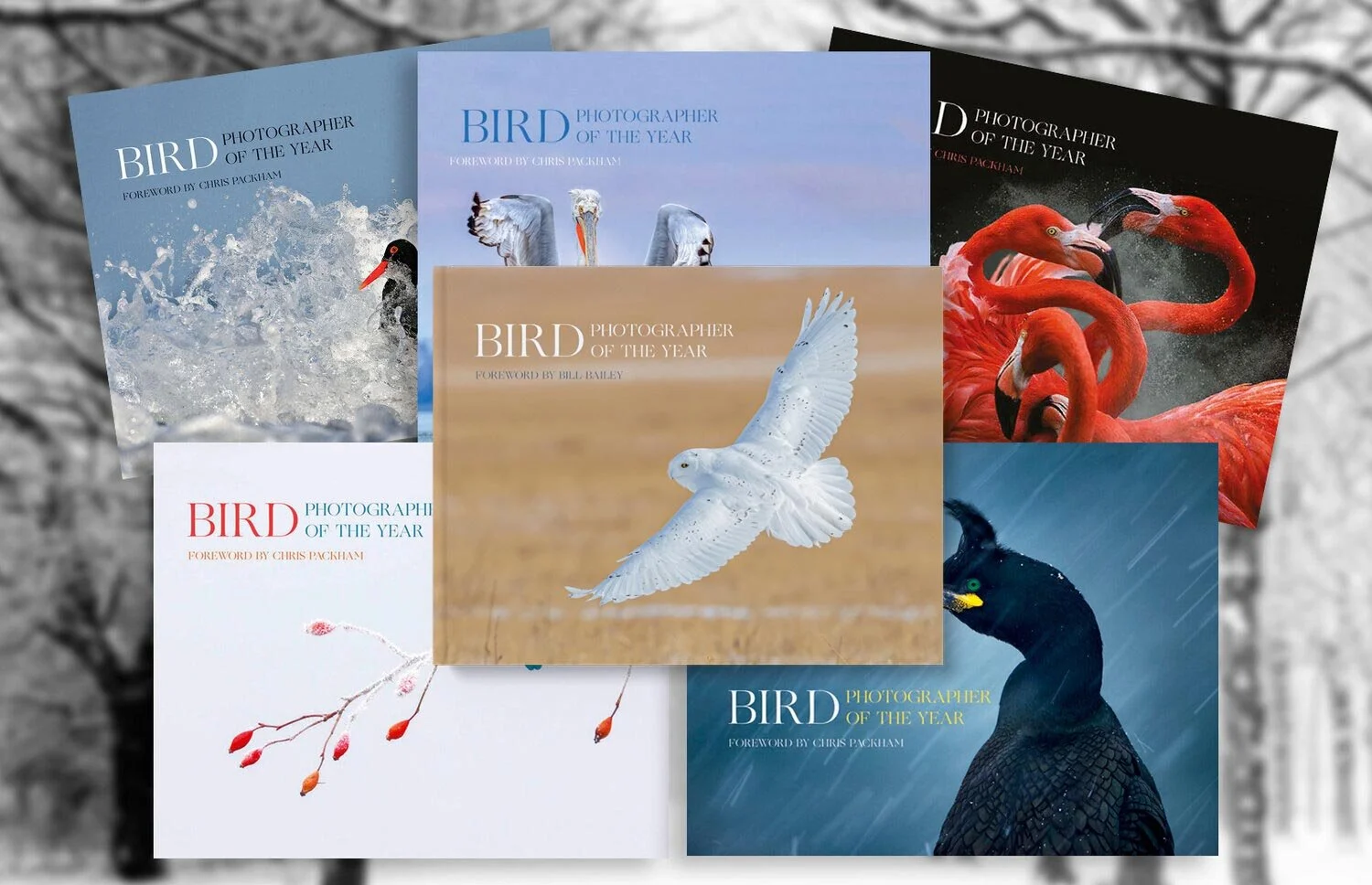 BPOTY Collection Books - Seconds