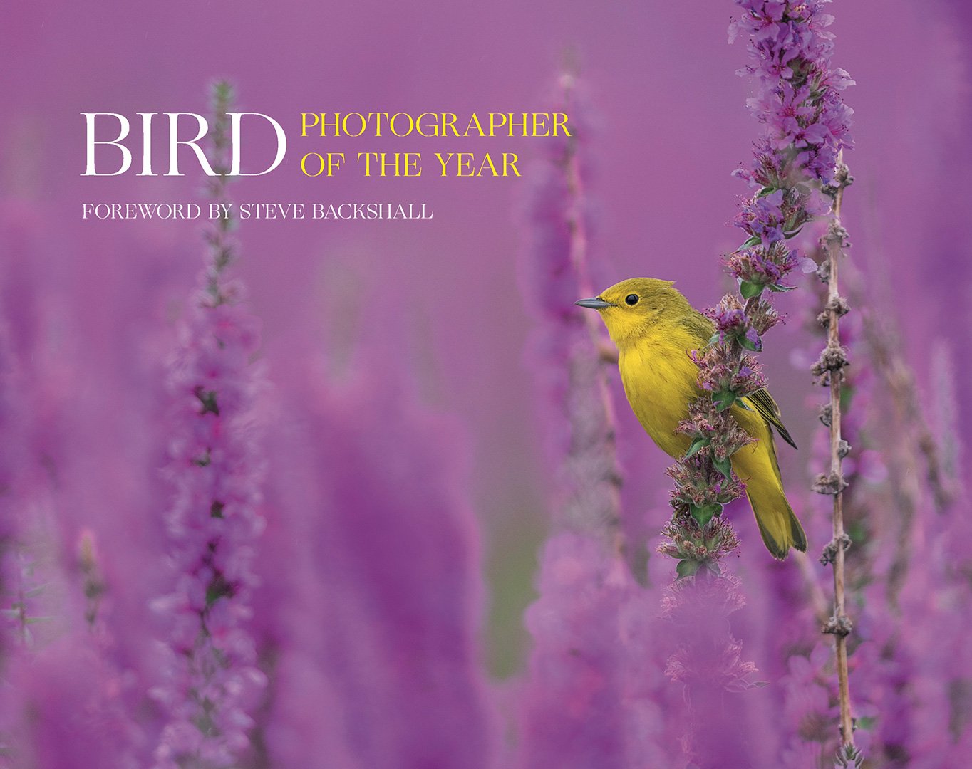 Order the Collection Books — Bird Photographer of the Year