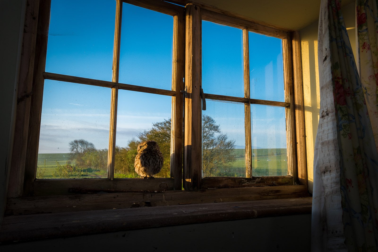 'Sunrise in the Old Farmhouse' by Richard Peters