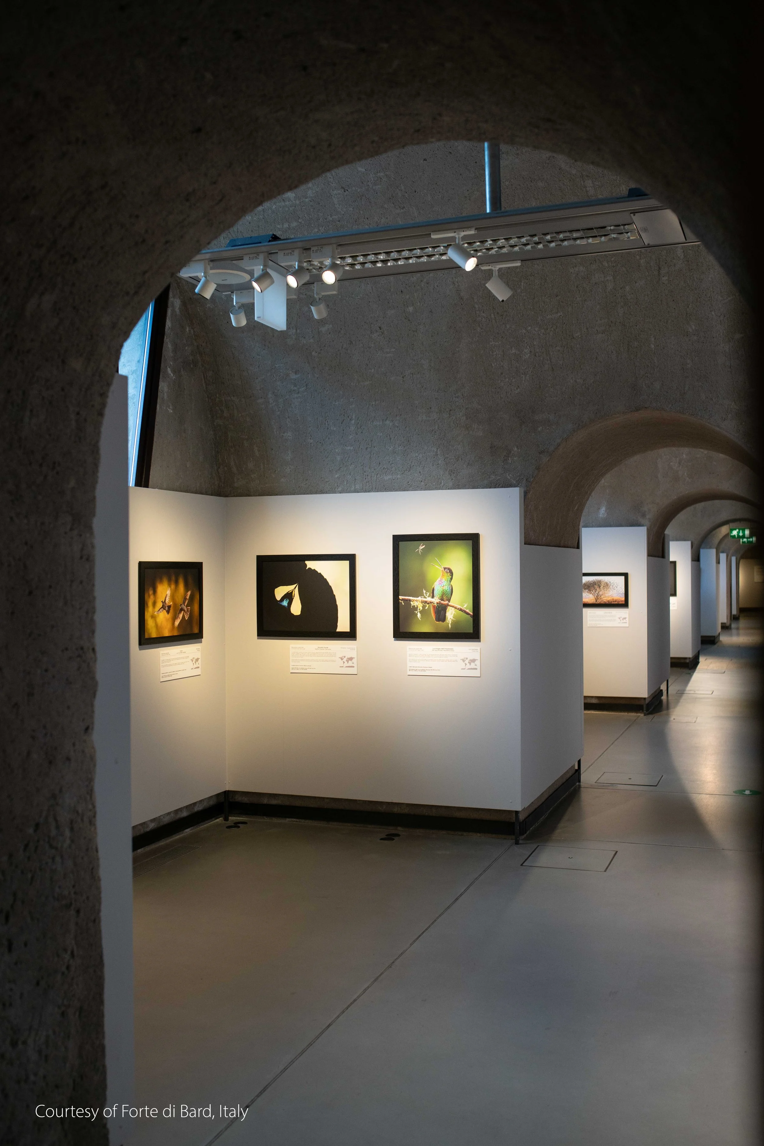 Forte di Bard Exhibition-7.jpg