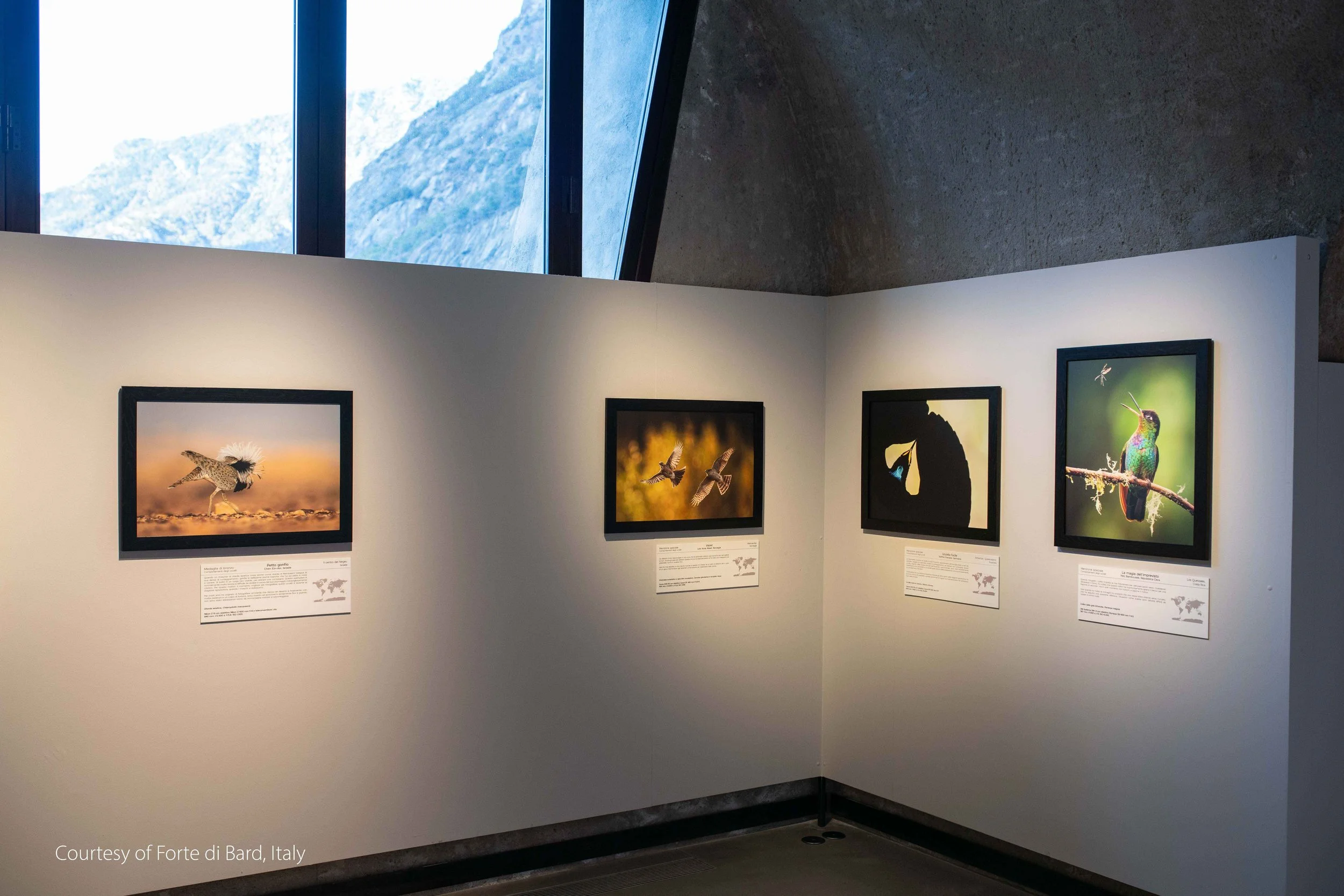 Forte di Bard Exhibition-9.jpg