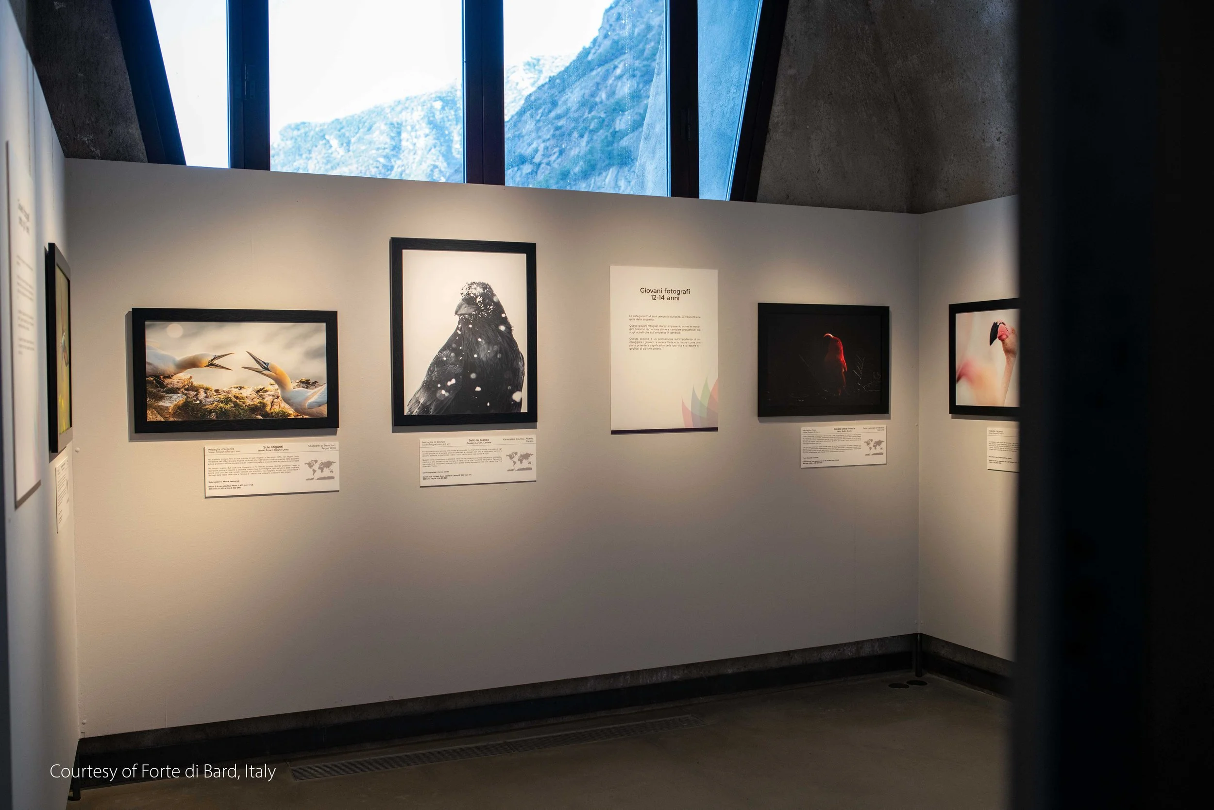 Forte di Bard Exhibition-16.jpg