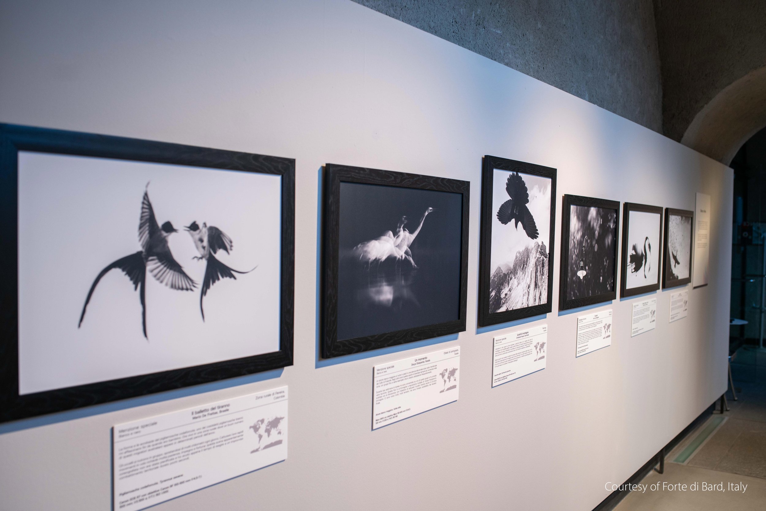 Forte di Bard Exhibition-22.jpg