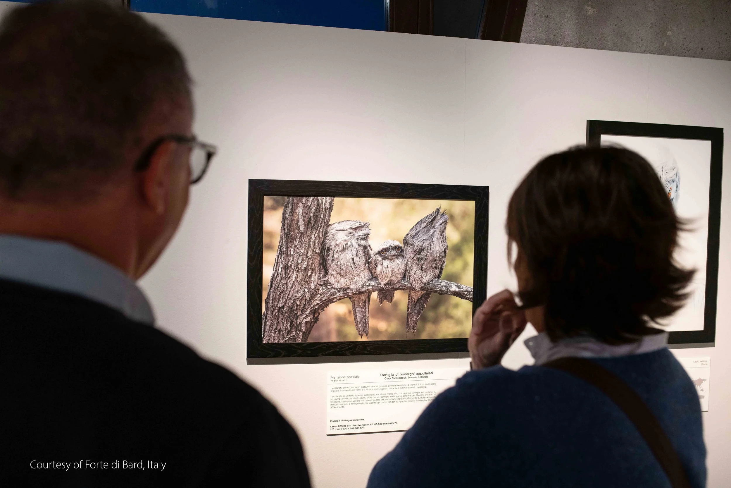 Forte di Bard Exhibition-46.jpg