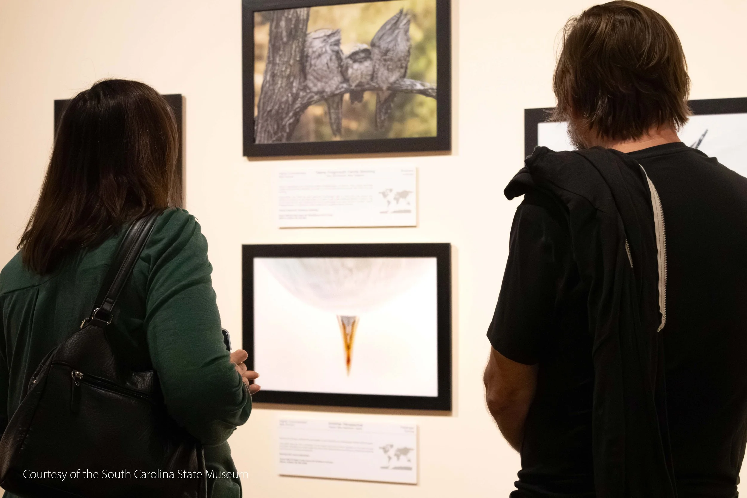 South Carolina State Museum Exhibition-2.jpg