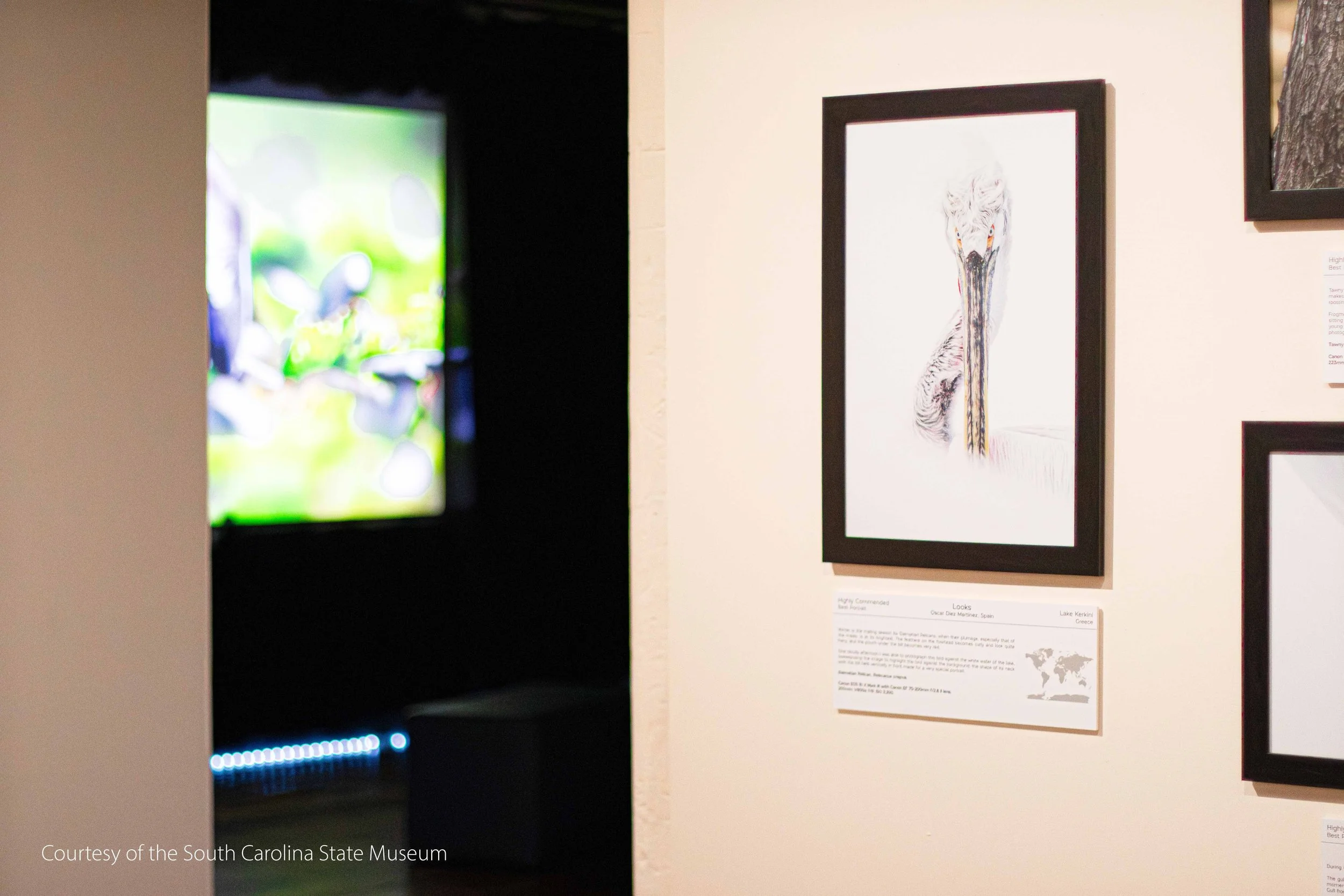 South Carolina State Museum Exhibition-16.jpg
