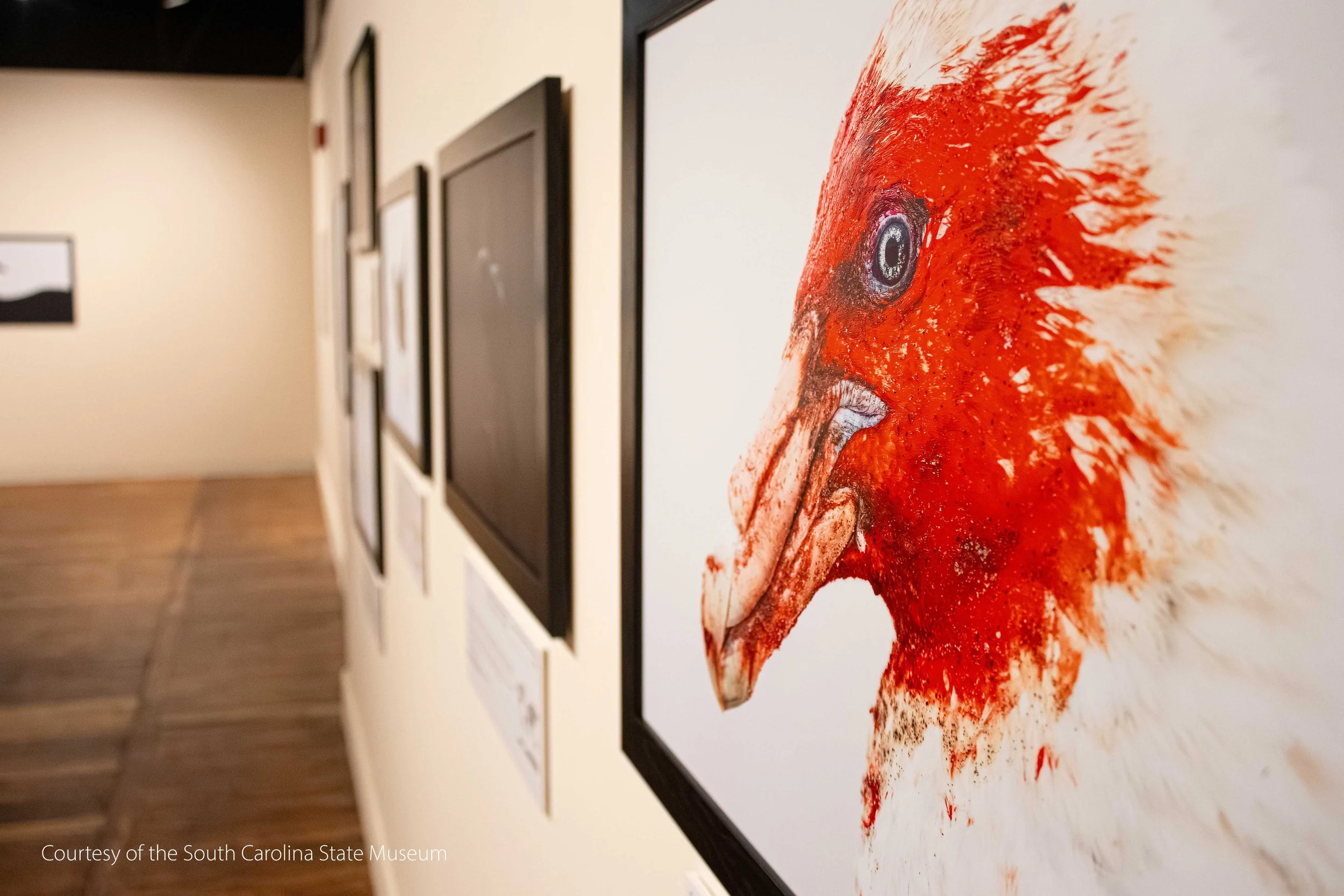 South Carolina State Museum Exhibition.jpg