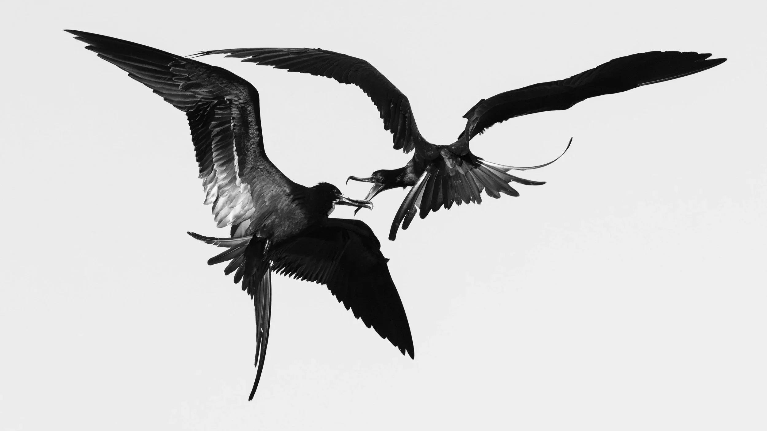 © Bernhard Schubert