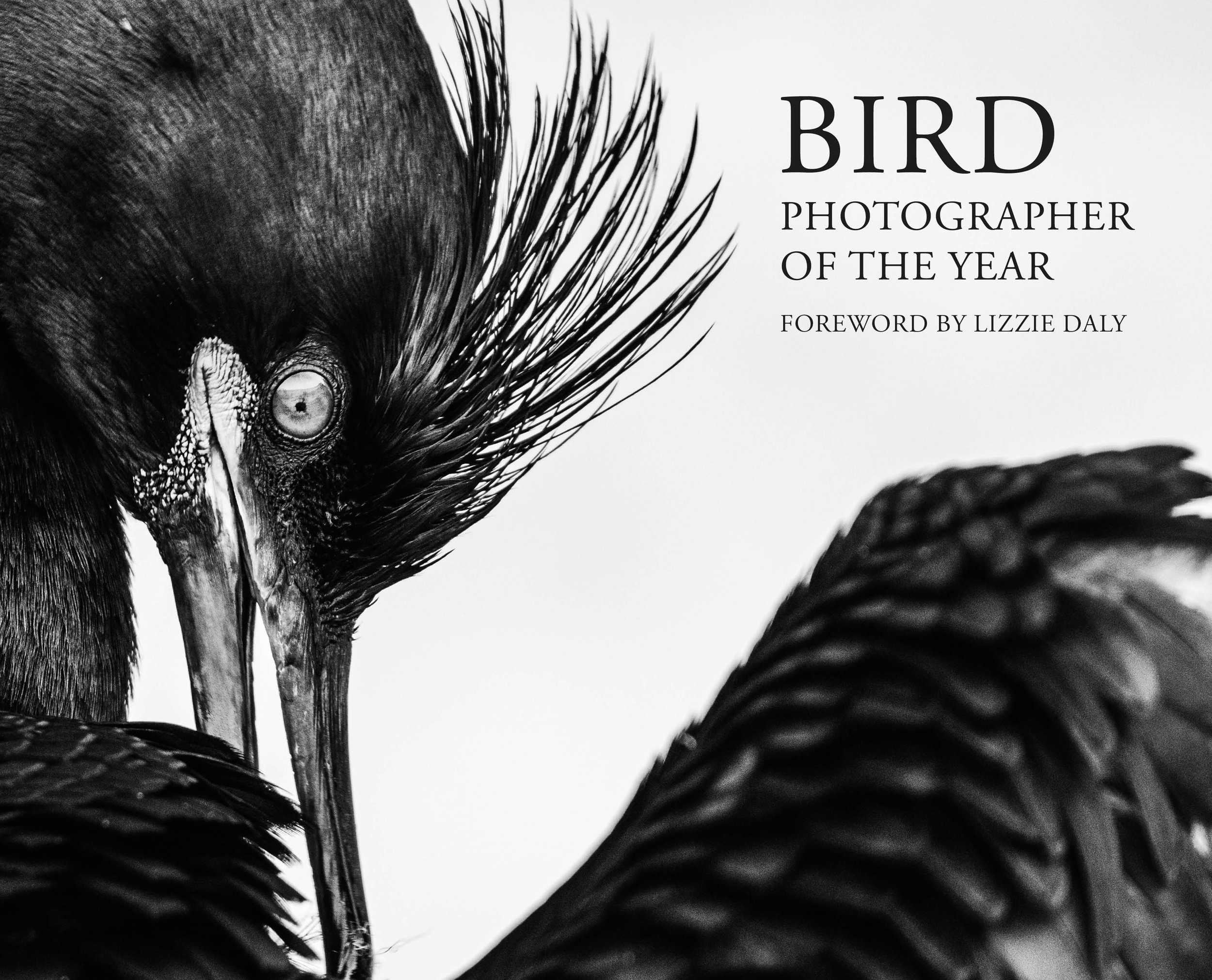 Bird POTY 11 cover.jpg