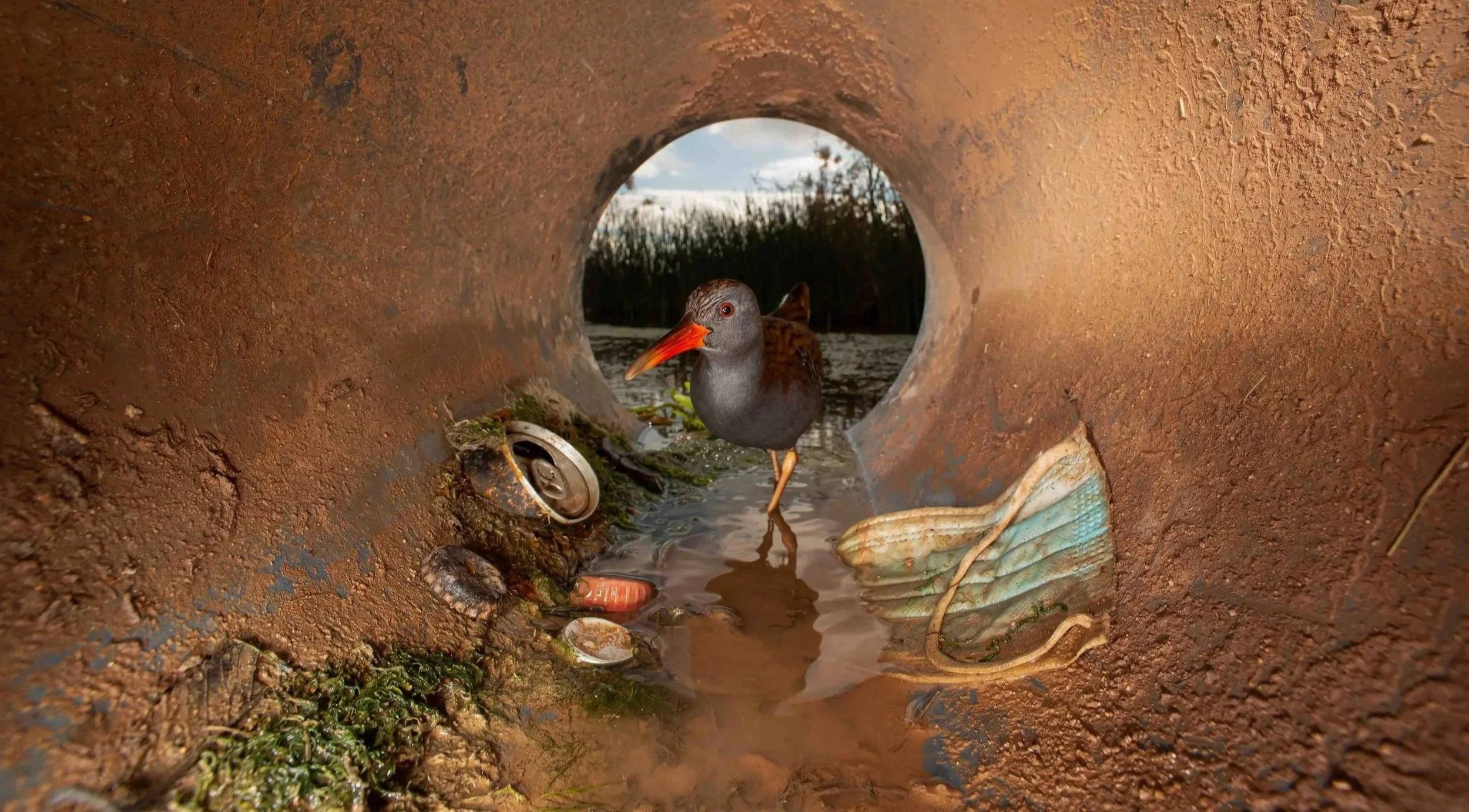 El Túnel De La Contaminación by Julian Fernandez Quilez.jpg