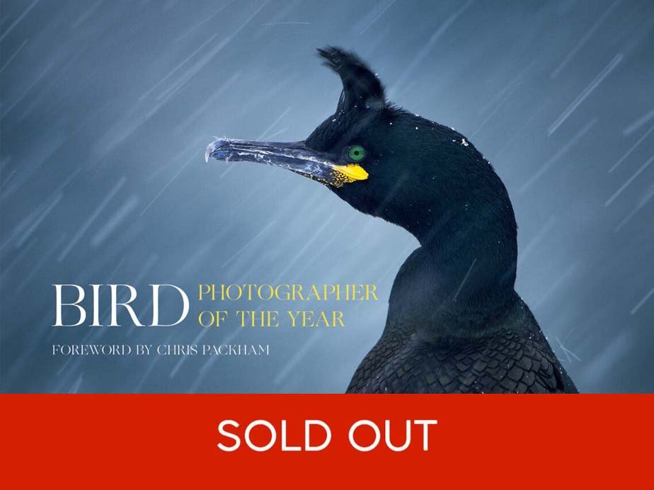 (SOLD OUT) Bird Photographer of the Year: Collection 1