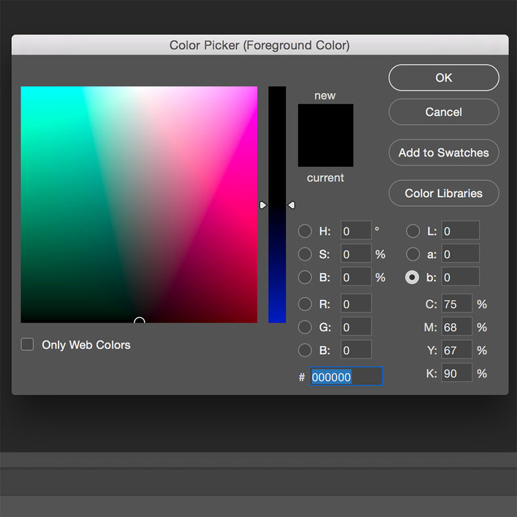 OPEN the color picker by clicking the ‘foreground color’ button. SELECT ‘Color Libraries’.