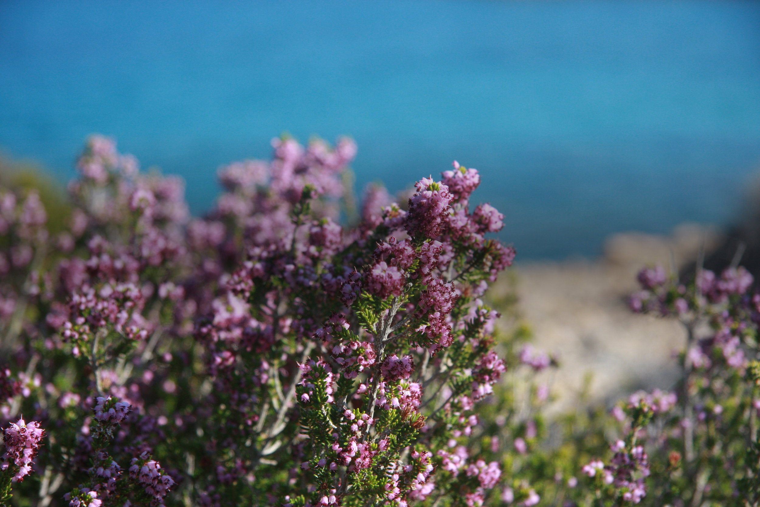 Living the Low-Waste Lifestyle