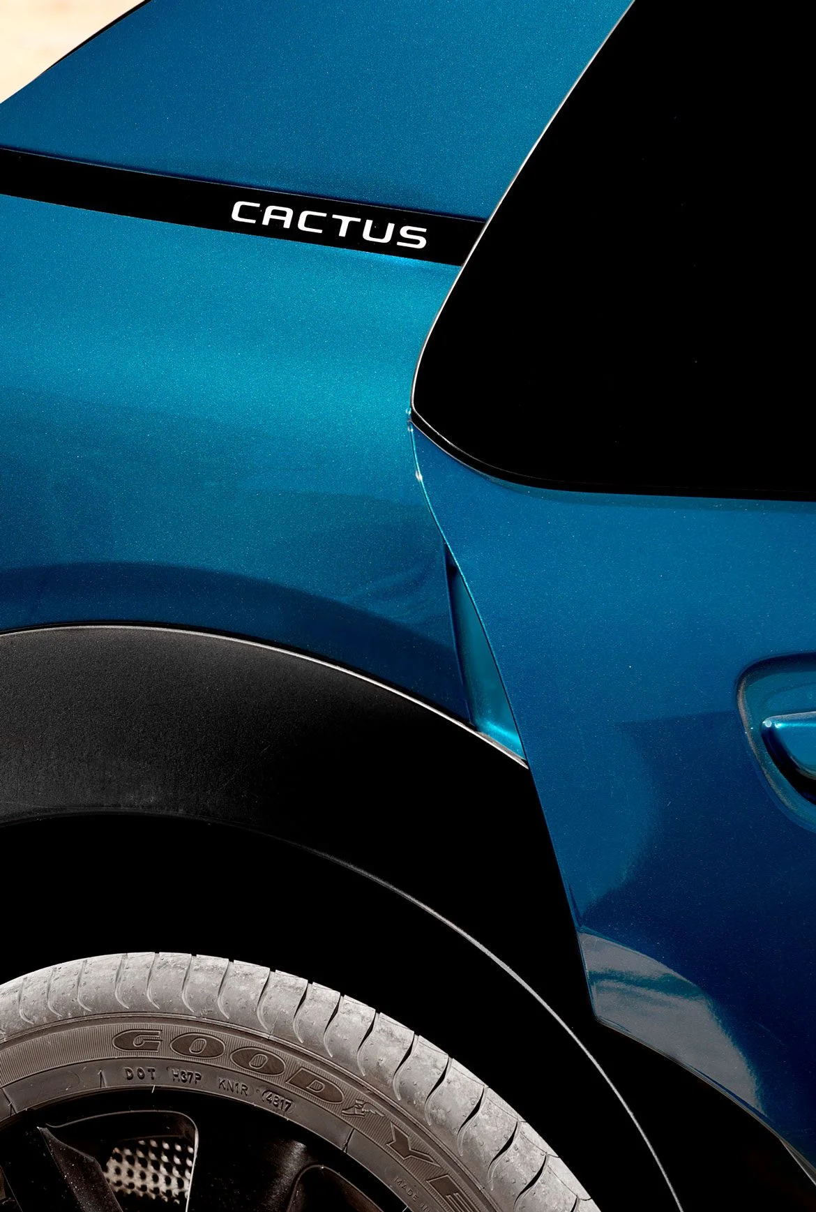 Geraymena_Citroen_Cactus_c4_detail_noho_01-1170x1737-1.jpg