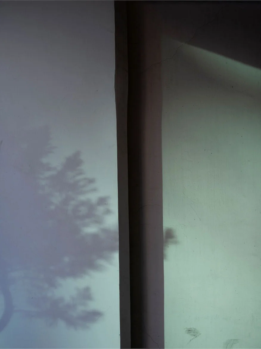 Martin-Holtkamp_Greenery_Tokyo2019.jpg