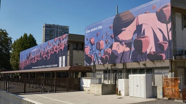 CF9CD79F-A781-48CD-ABBD-AD4DAACB6EFF-2048x1152 Medium.jpeg