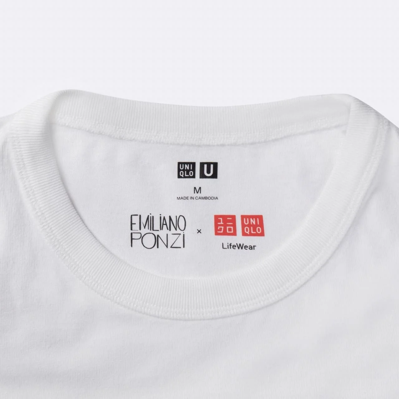 E.Ponzi_logo Large.jpeg