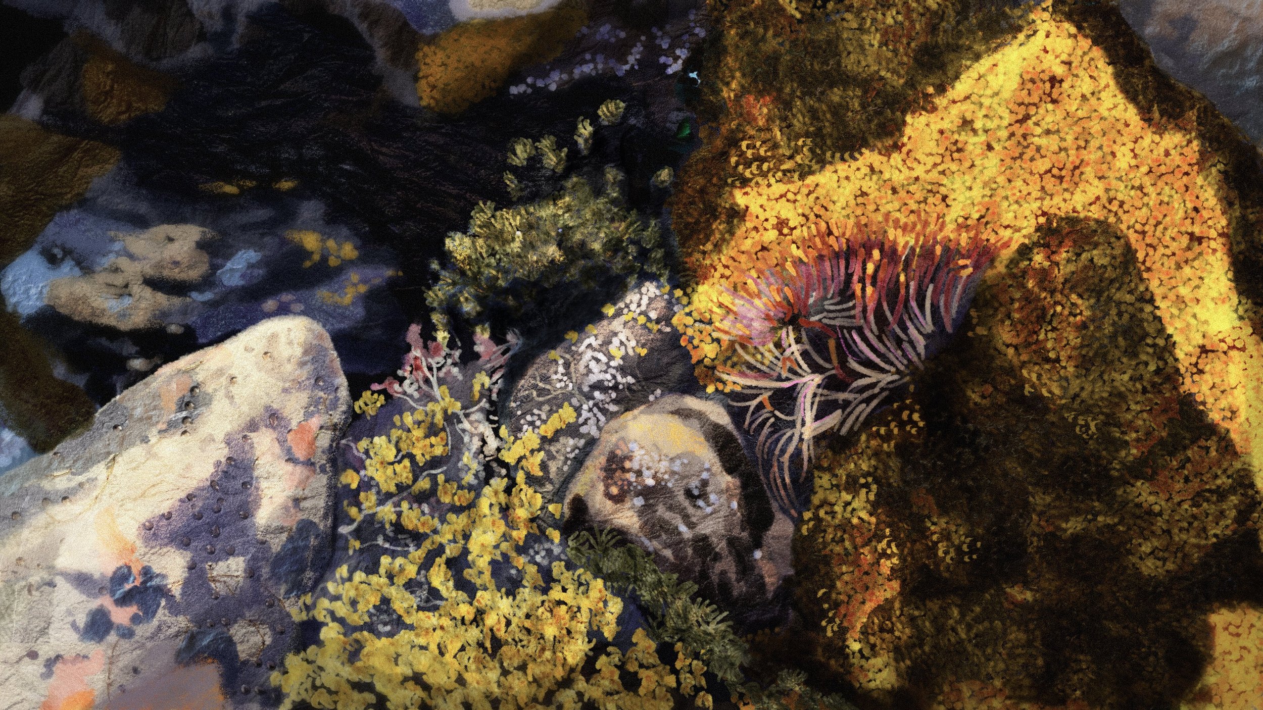 Alt - Closeup Moss.jpg