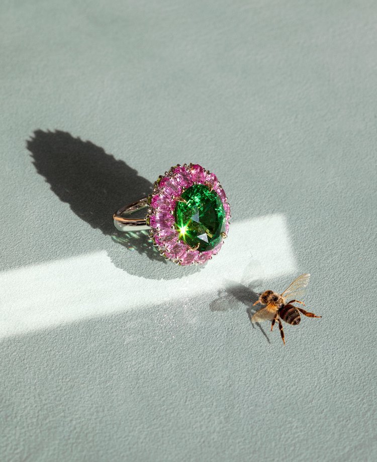 Kyoko Hamada - Photography